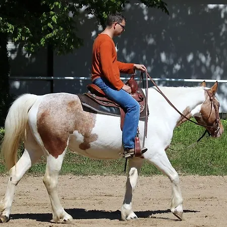 호텔 Mannheim-city 만하임
