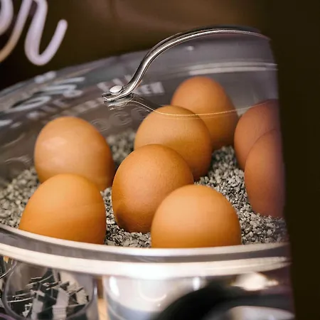 Otel Mannheim-city Mannheim