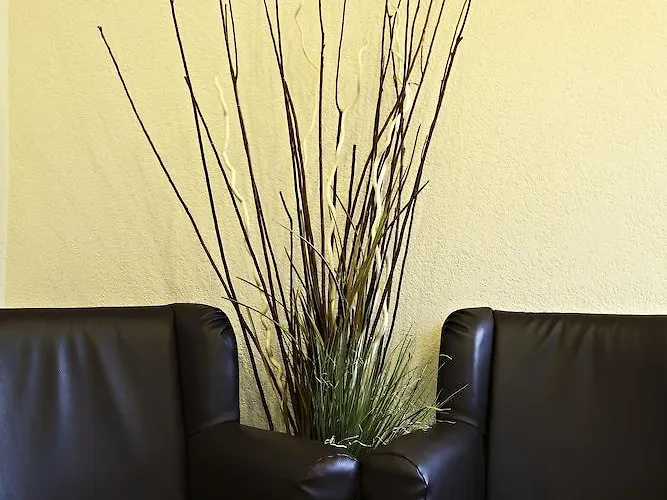 Otel Mannheim-city 3*