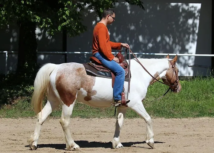 Otel Mannheim-city Mannheim